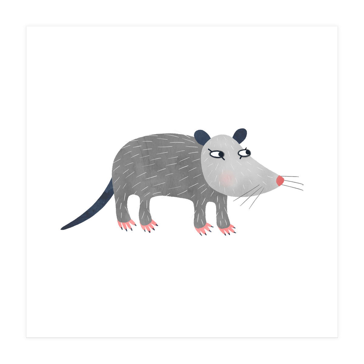 Possum (Print Only)