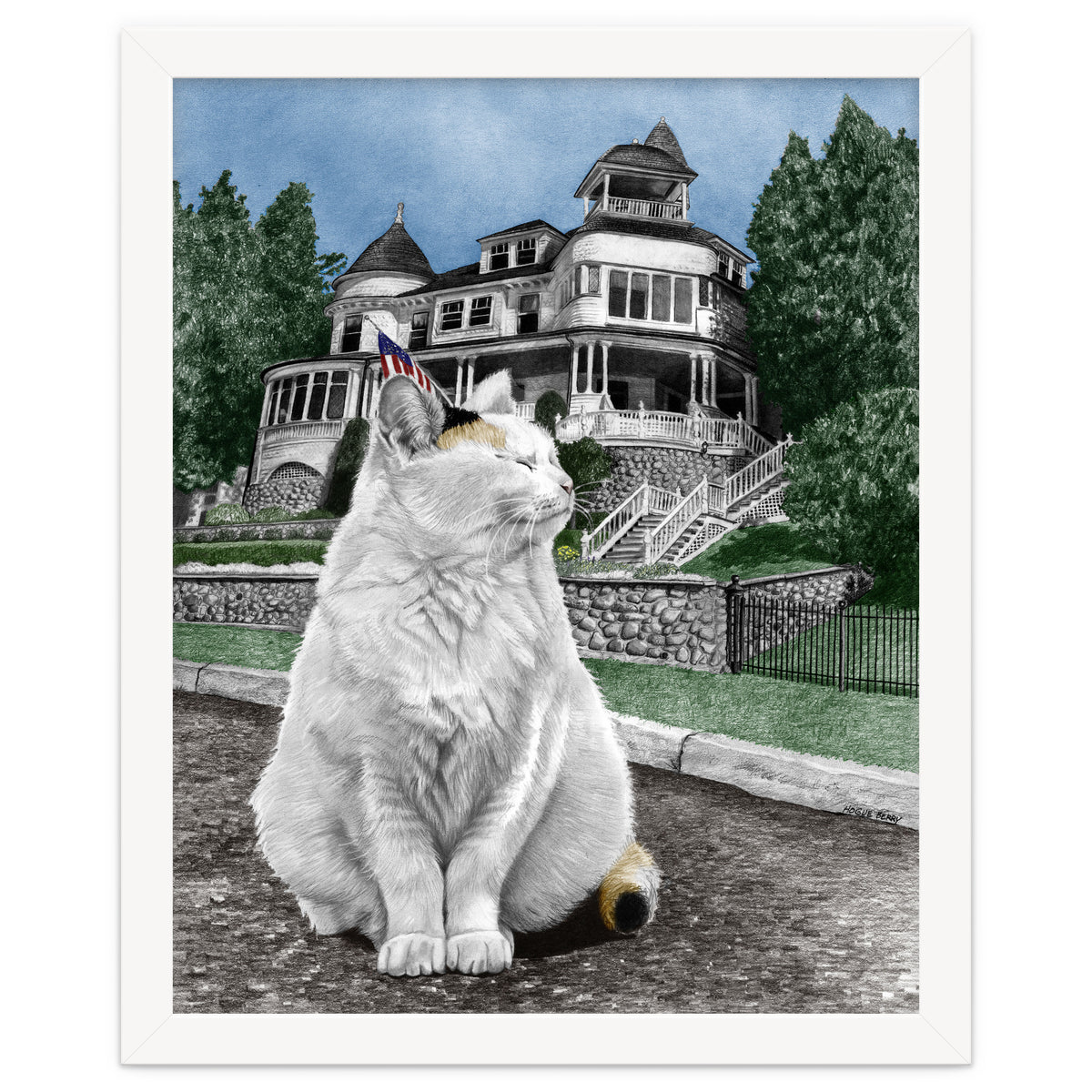 Mackinac Island Cat