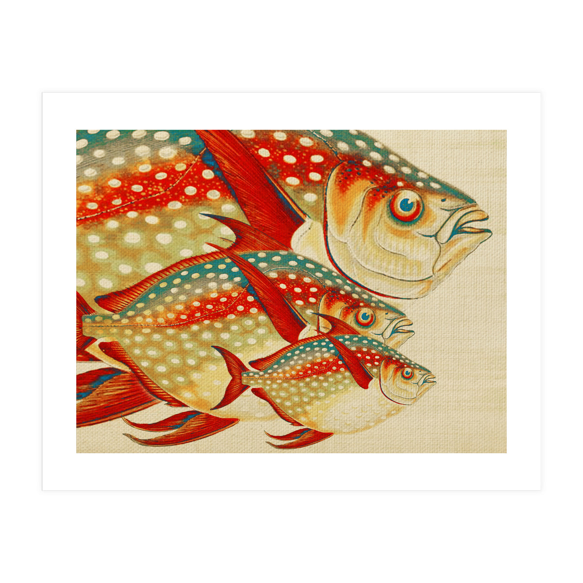 Fish Classic Designs 1 (Print Only)