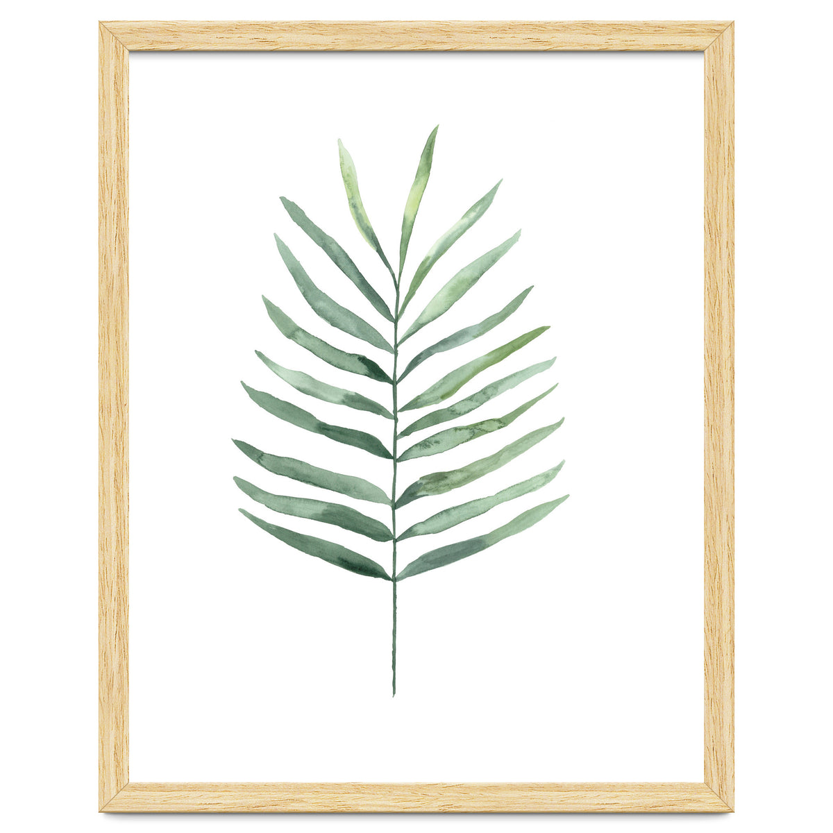 Botanical Illustration Fern