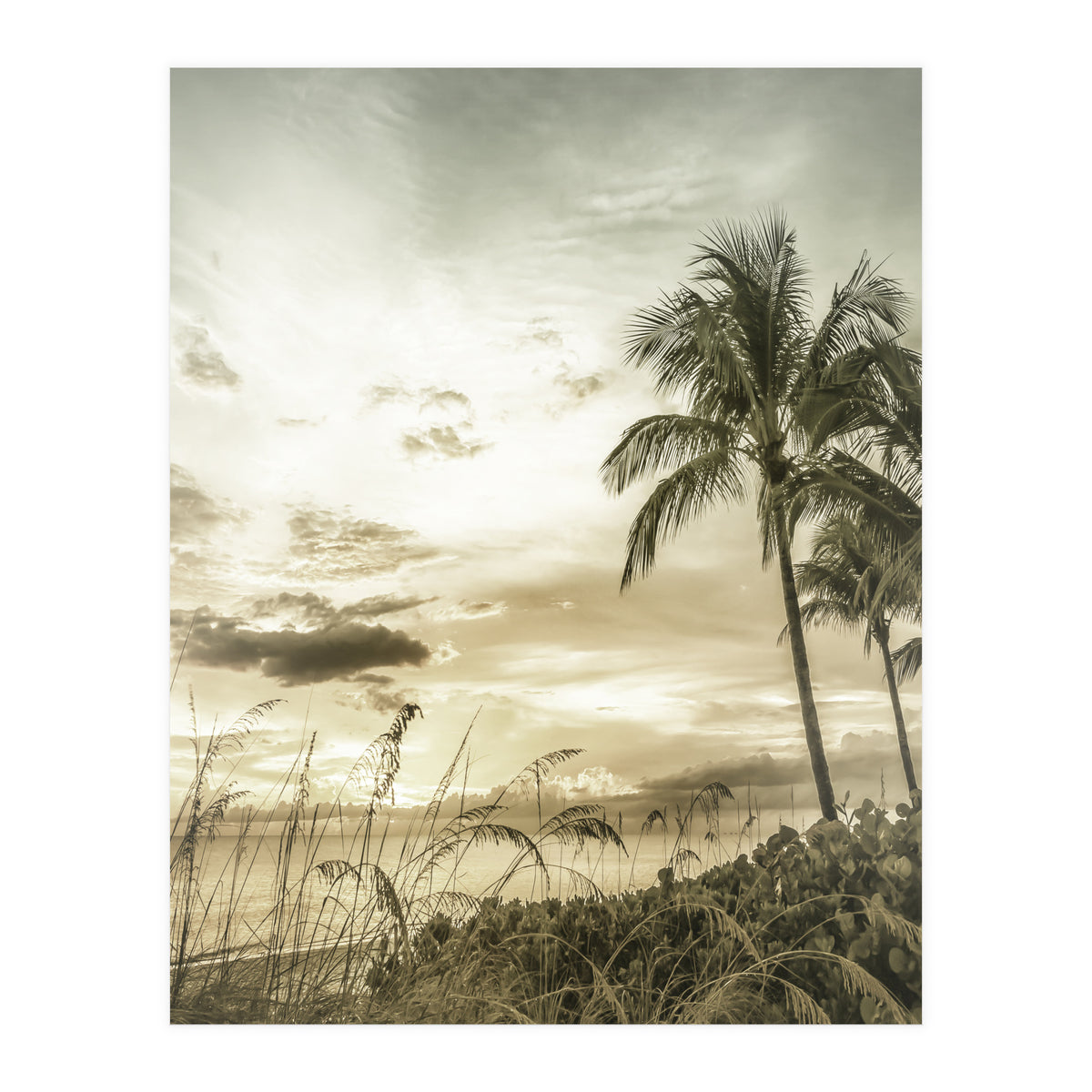 BONITA BEACH Bright Sunset | Vintage (Print Only)