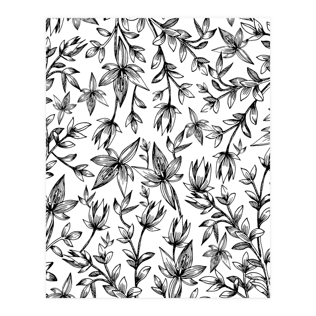 Veli V2 (Print Only)