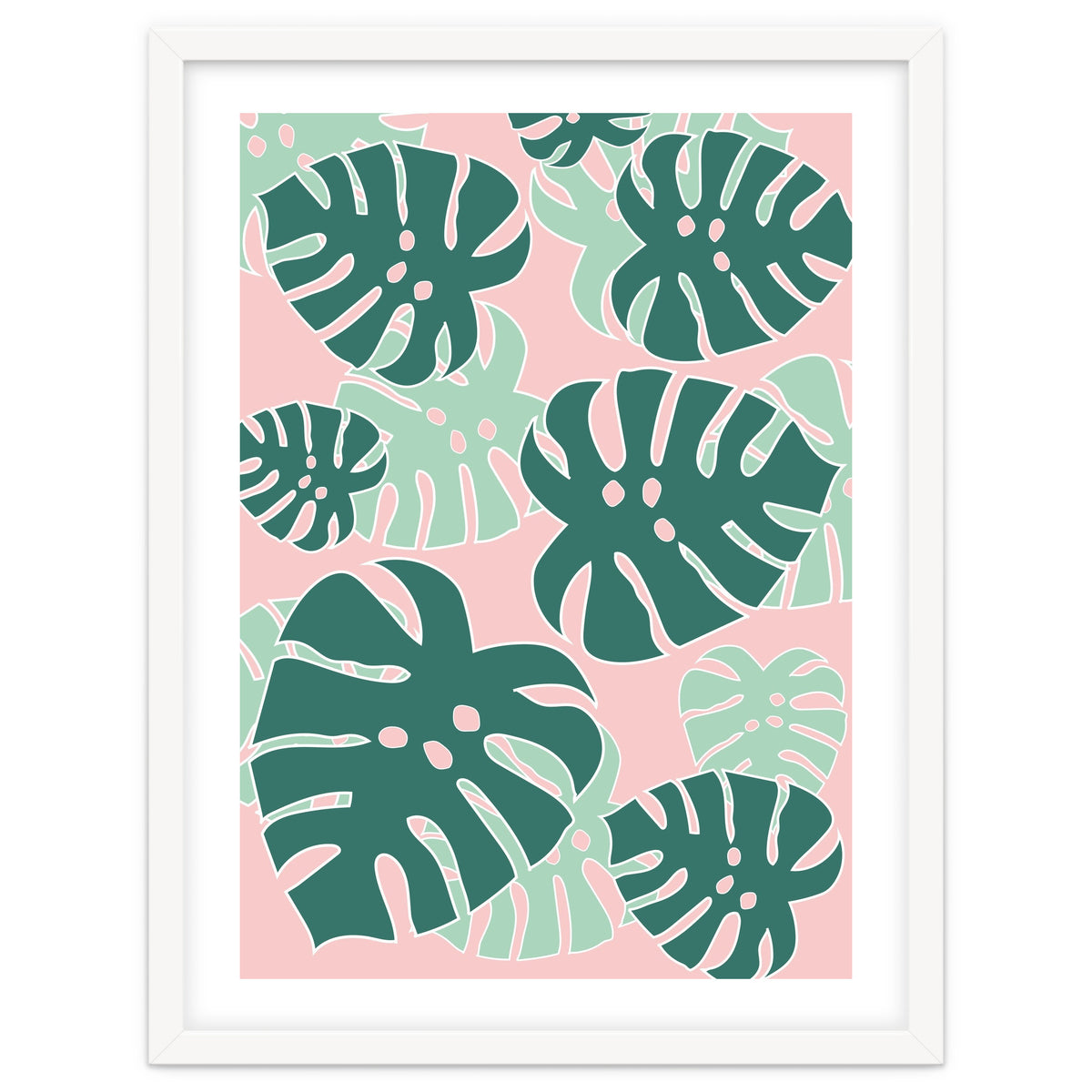 Monstera Tropical