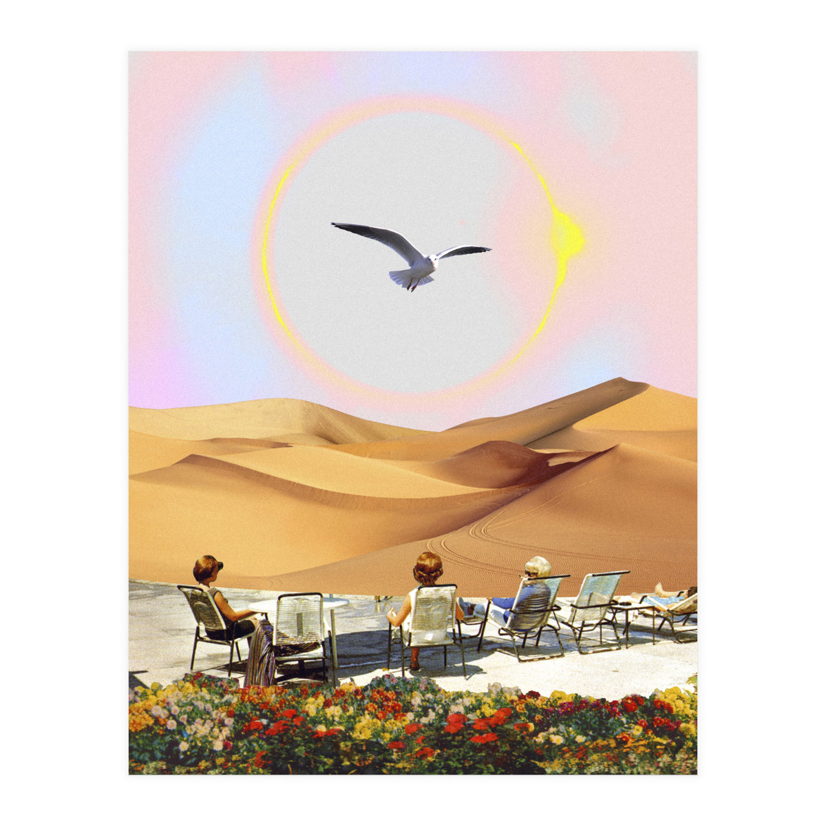 Birdwatching 2.0. (Print Only)