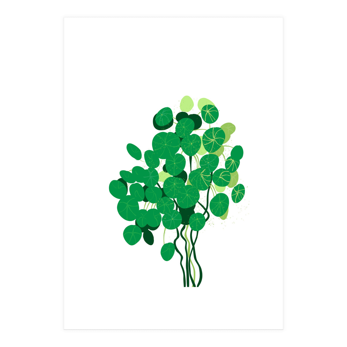 Pilea (Print Only)