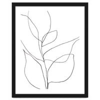 Plant Line Drawing