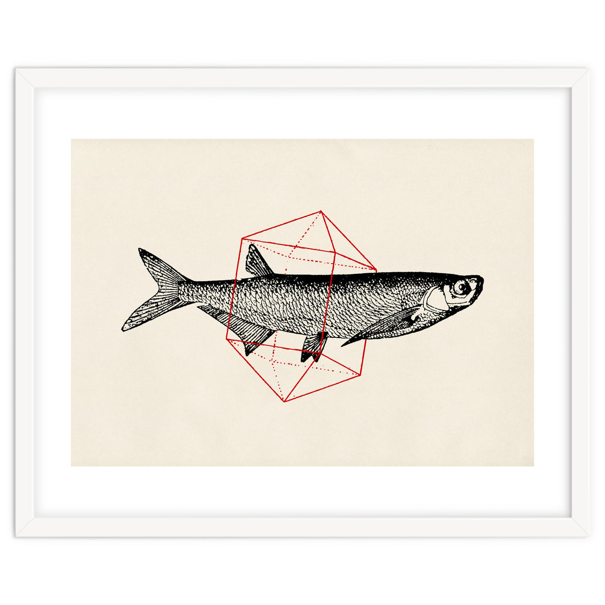 Fish In Geometrics II