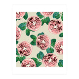 Pomegranate V2 (Print Only) thumbnail
