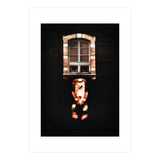VooDooTooL - Desvodat (Print Only) thumbnail