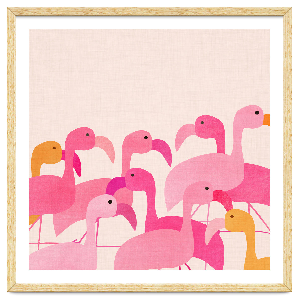 Florida Flamingos