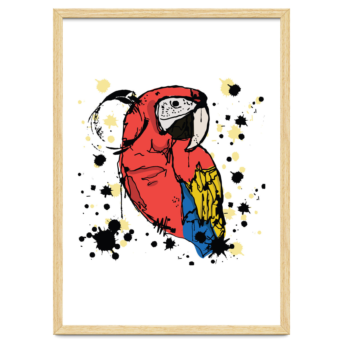 Guacamaya sketch