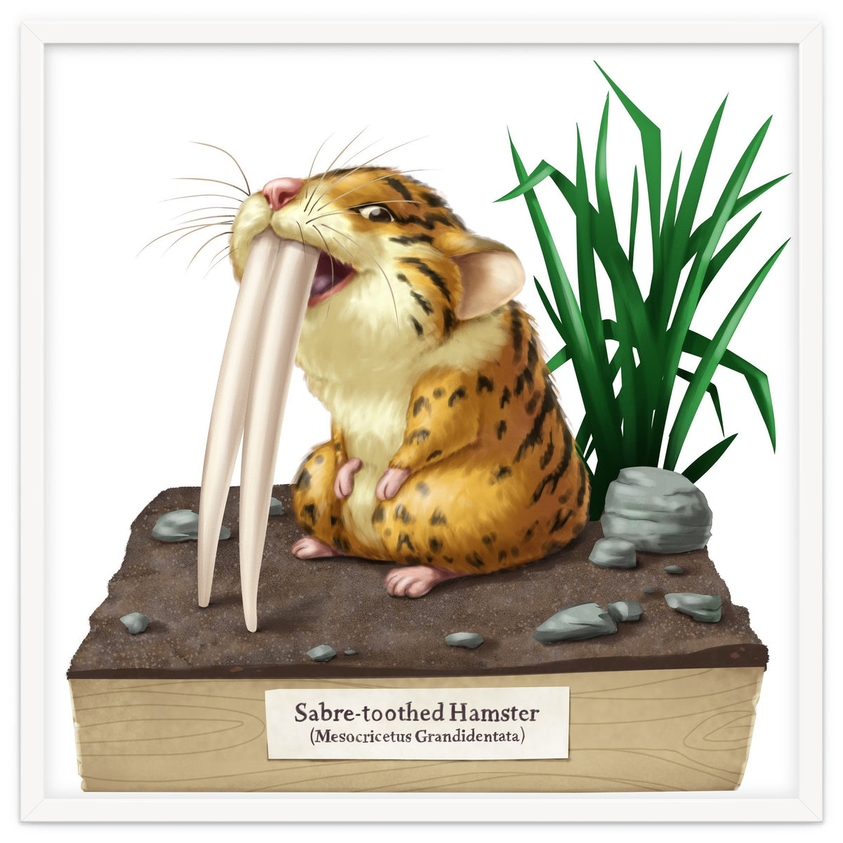 Saber-toothed Hamster