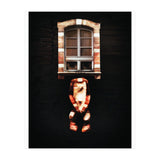 VooDooTooL - Desvodat (Print Only) thumbnail