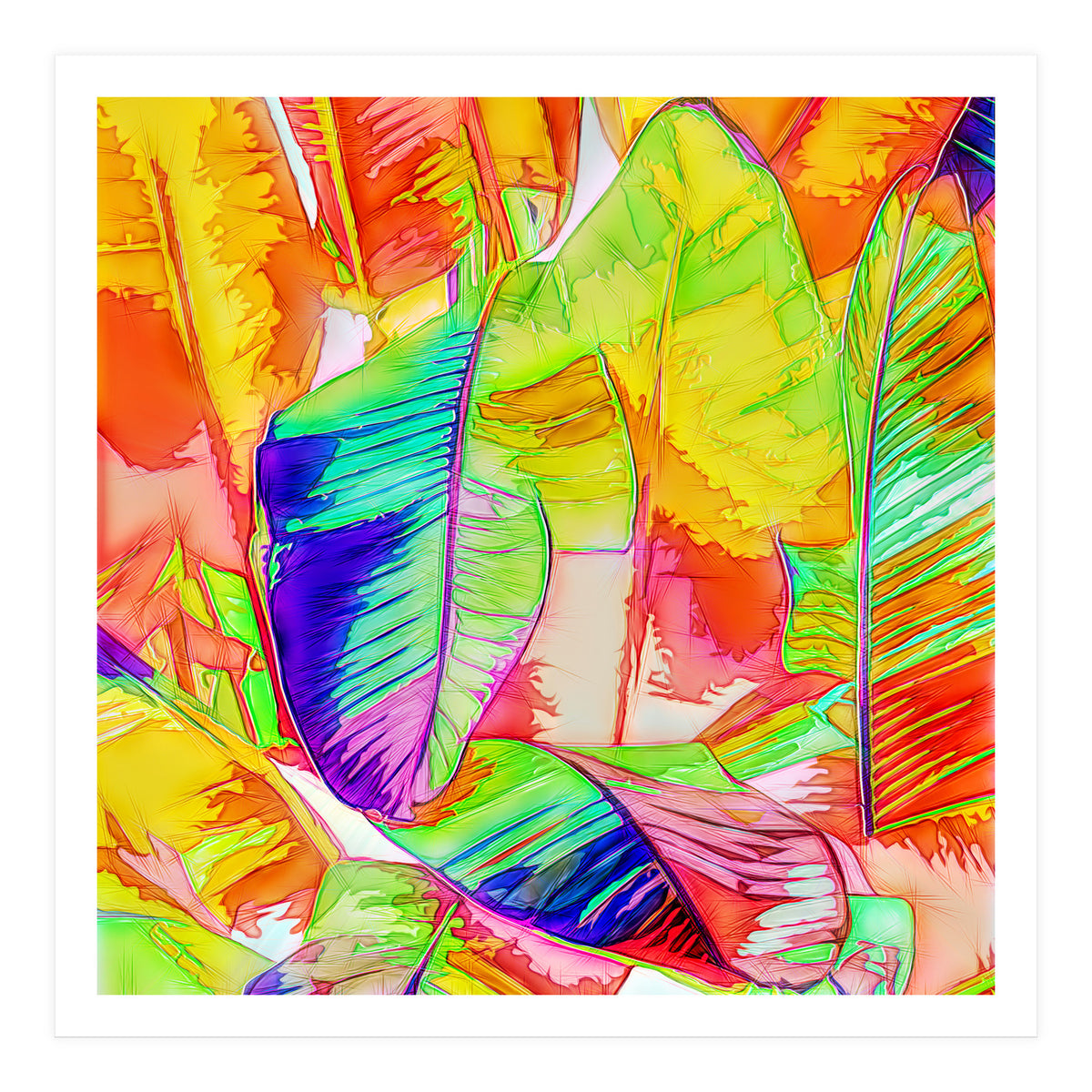 In All Things Of Nature, There's Something Of The Marvelous (Print Only)