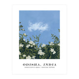 Odisha, India (Print Only) thumbnail