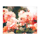 Blush II (Print Only) thumbnail