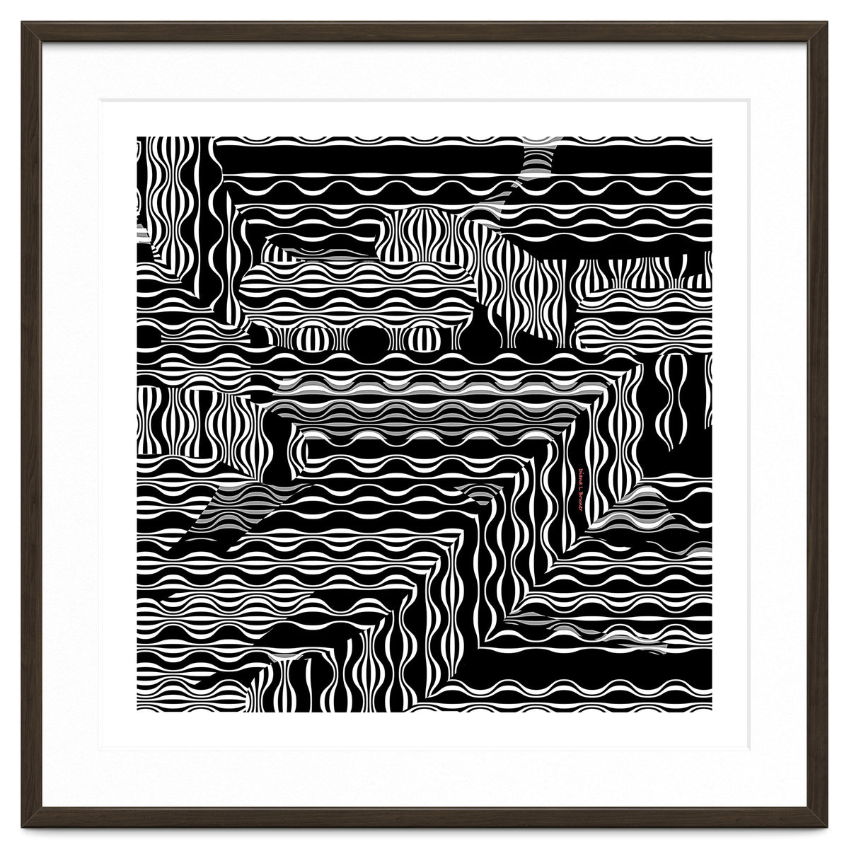 BLACK AND WHITE EXOTIC