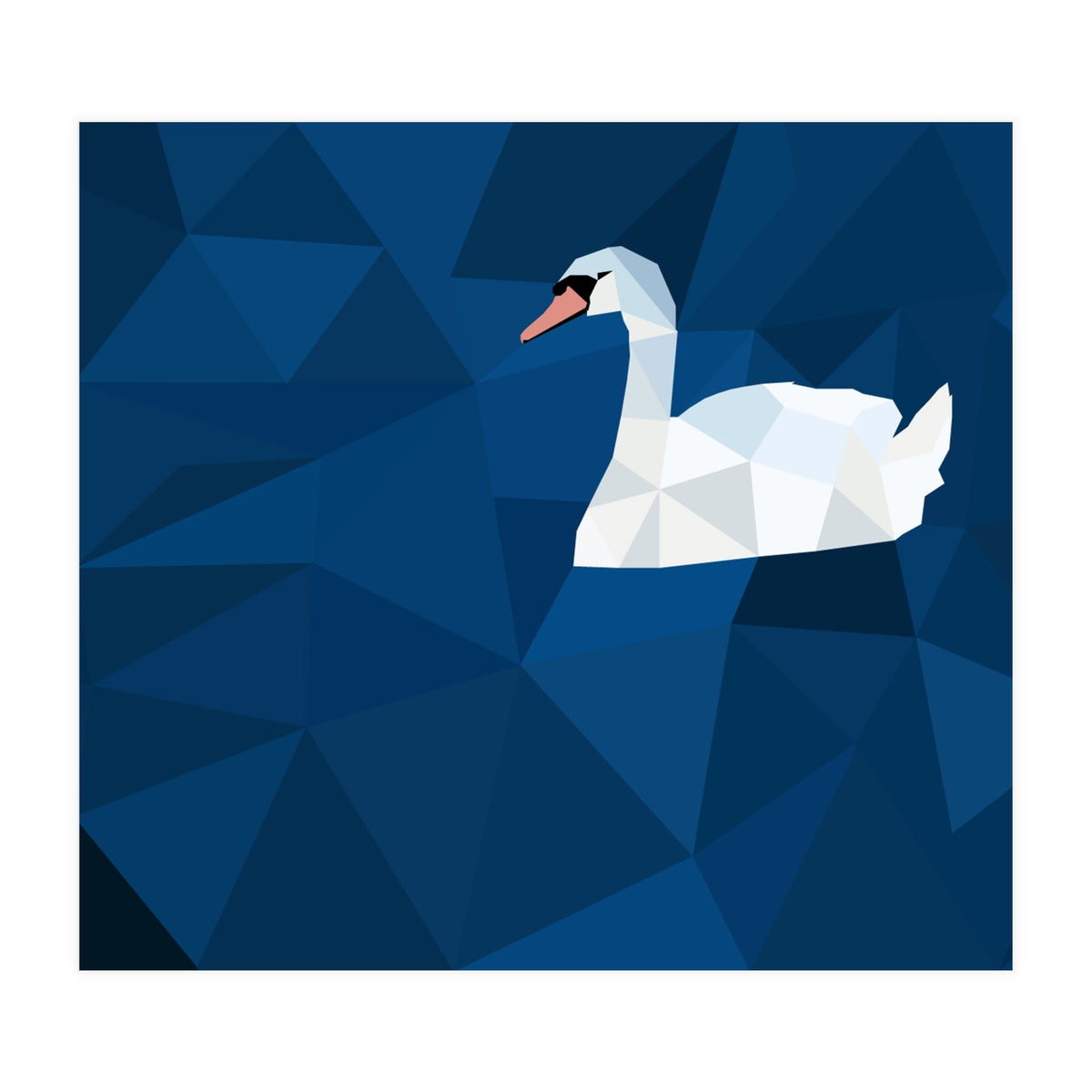 Swan In Water Artwork (Print Only)