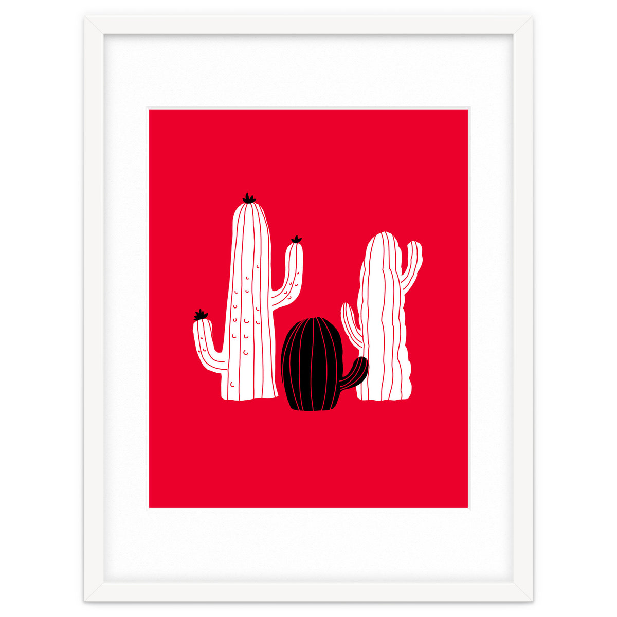 Cactus