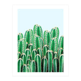 Kaktos II (Print Only) thumbnail
