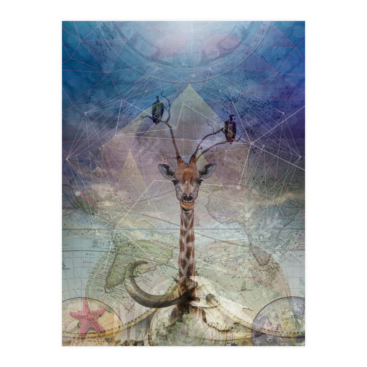 Warning (Print Only)