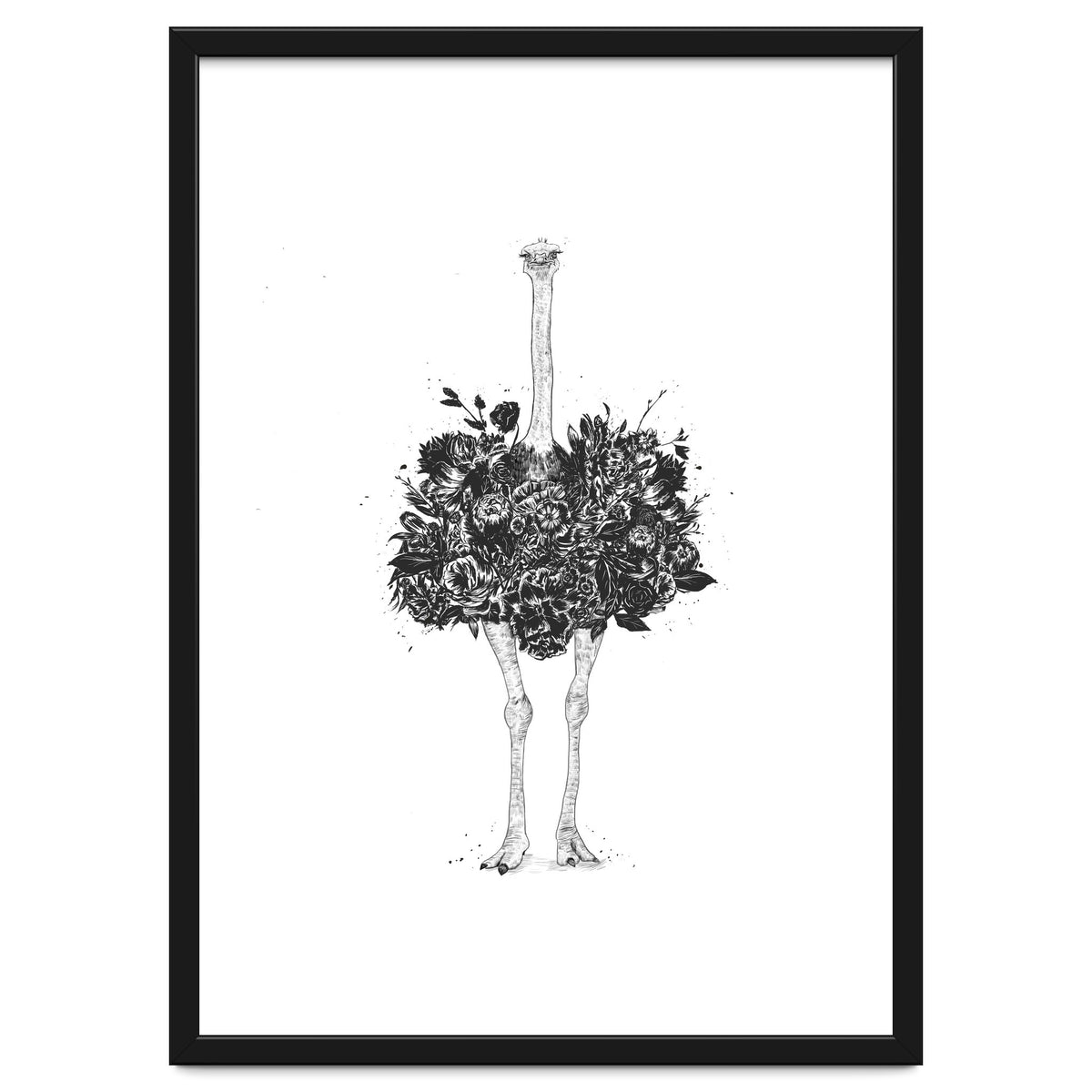 Floral Ostrich