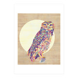 Owl (Print Only) thumbnail