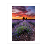 A Place To Dream (Print Only) thumbnail