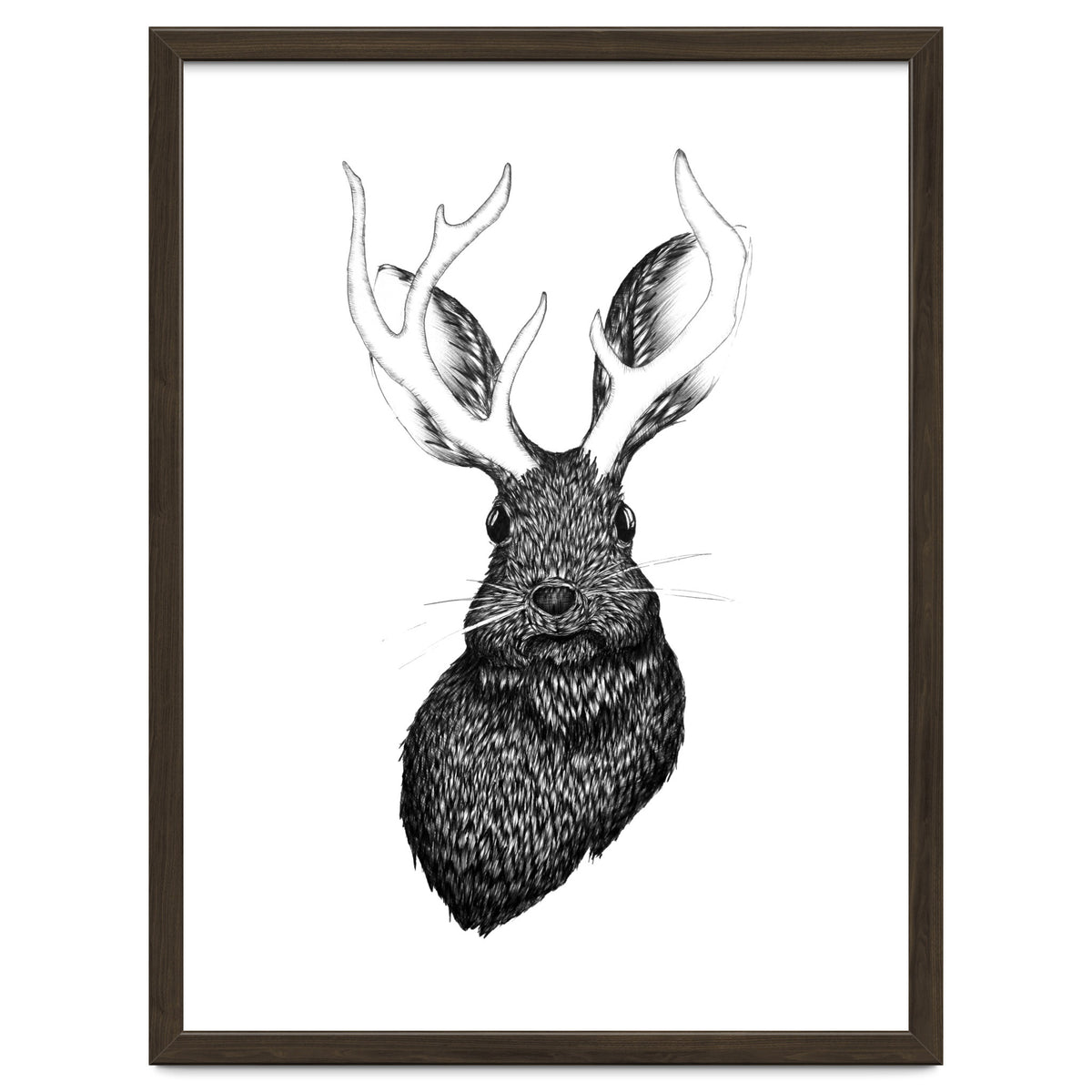 Jackalope