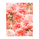 Fiona II (Print Only) thumbnail