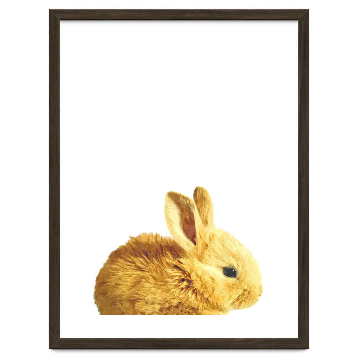 Bunny Portrait