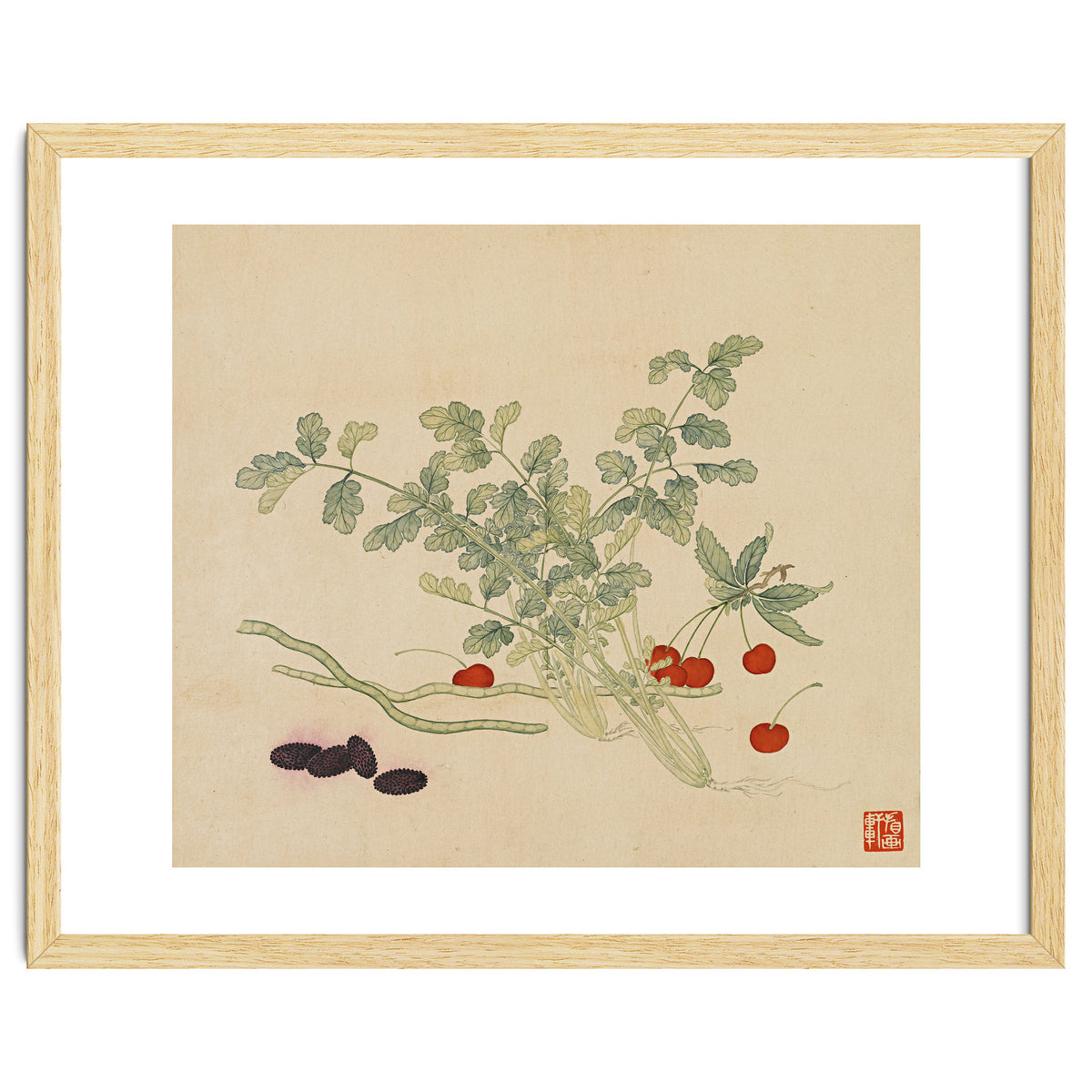 Wang Chengyu~flowers And Vegetables, Vegetables, Fruits, Beans, Red Beans, Cherries, Celery