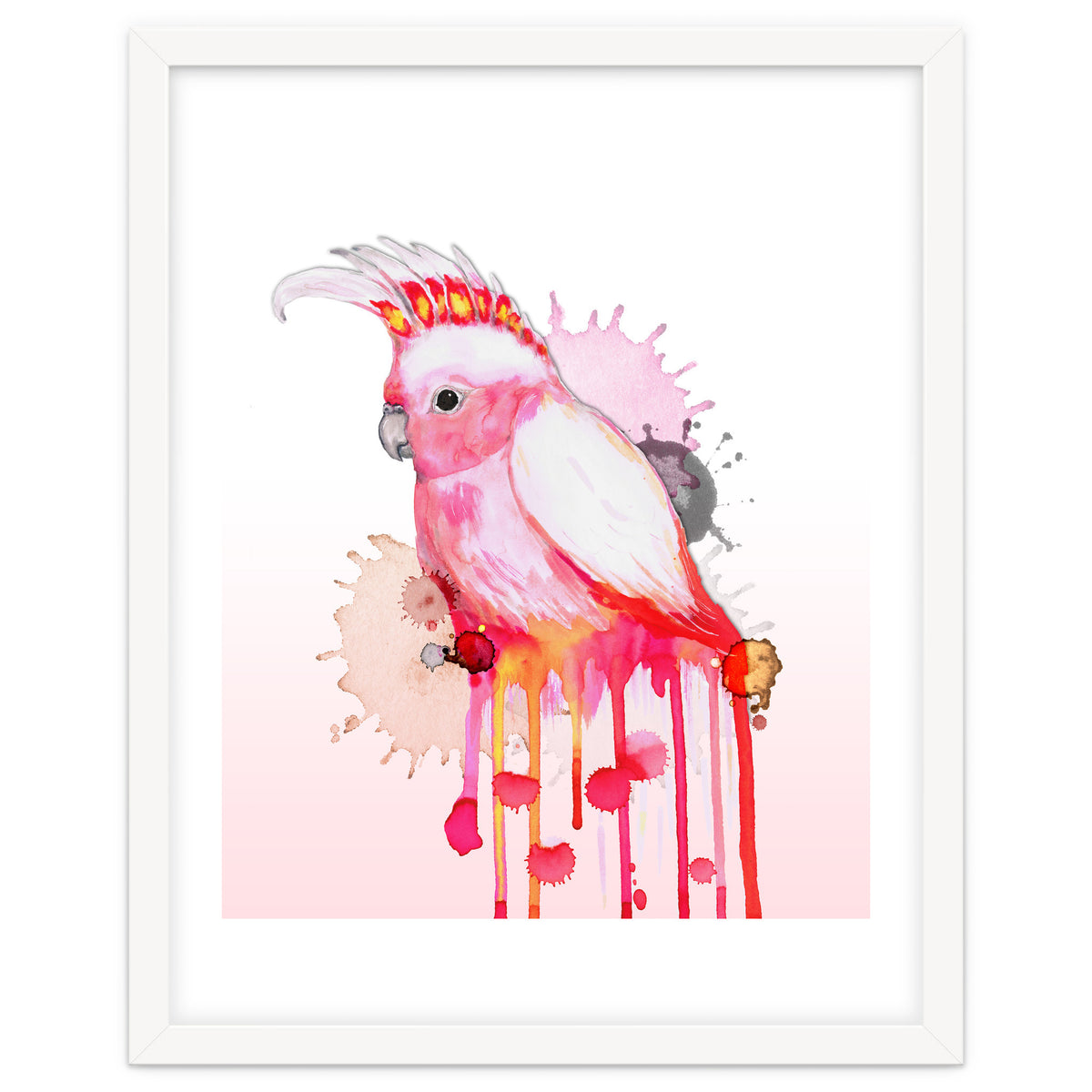 Major Mitchell's cockatoo