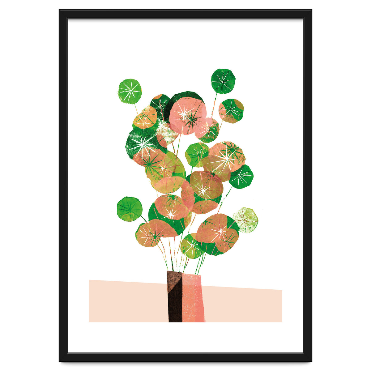 Pilea In Green And Coral