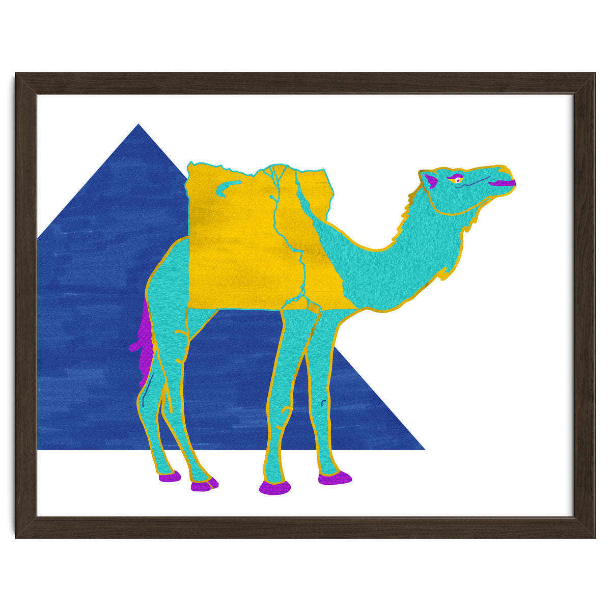 Egyptian Dromedary