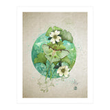Luna Moth  (Print Only) thumbnail