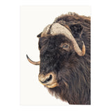 Cc Animal 02 (Print Only) thumbnail