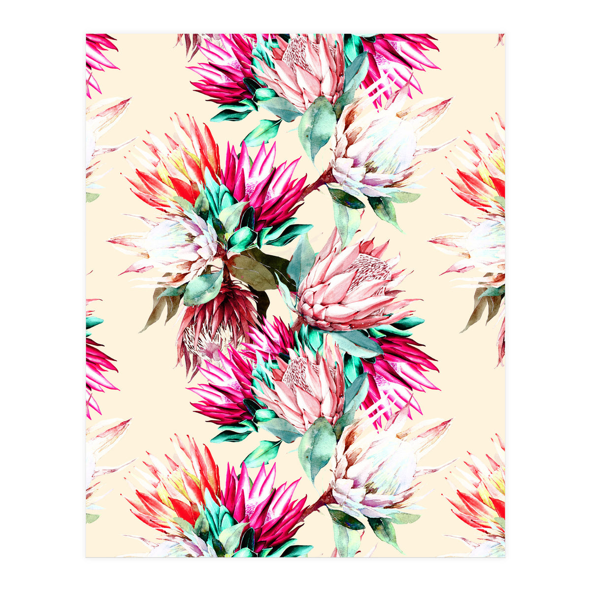 King proteas bloom II (Print Only)