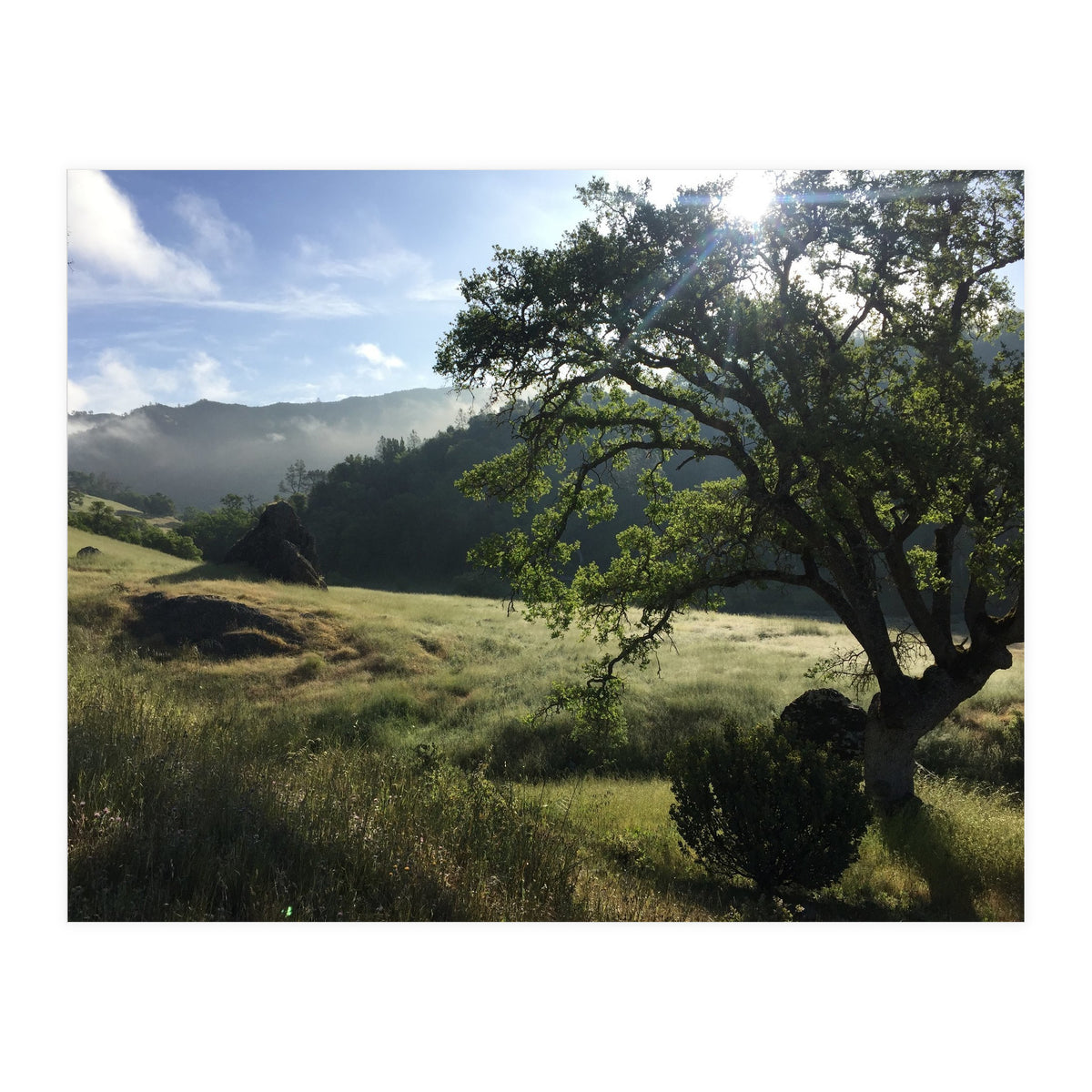 Henry Coe I (Print Only)