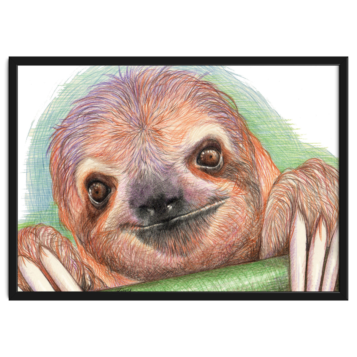 Smiling Sloth