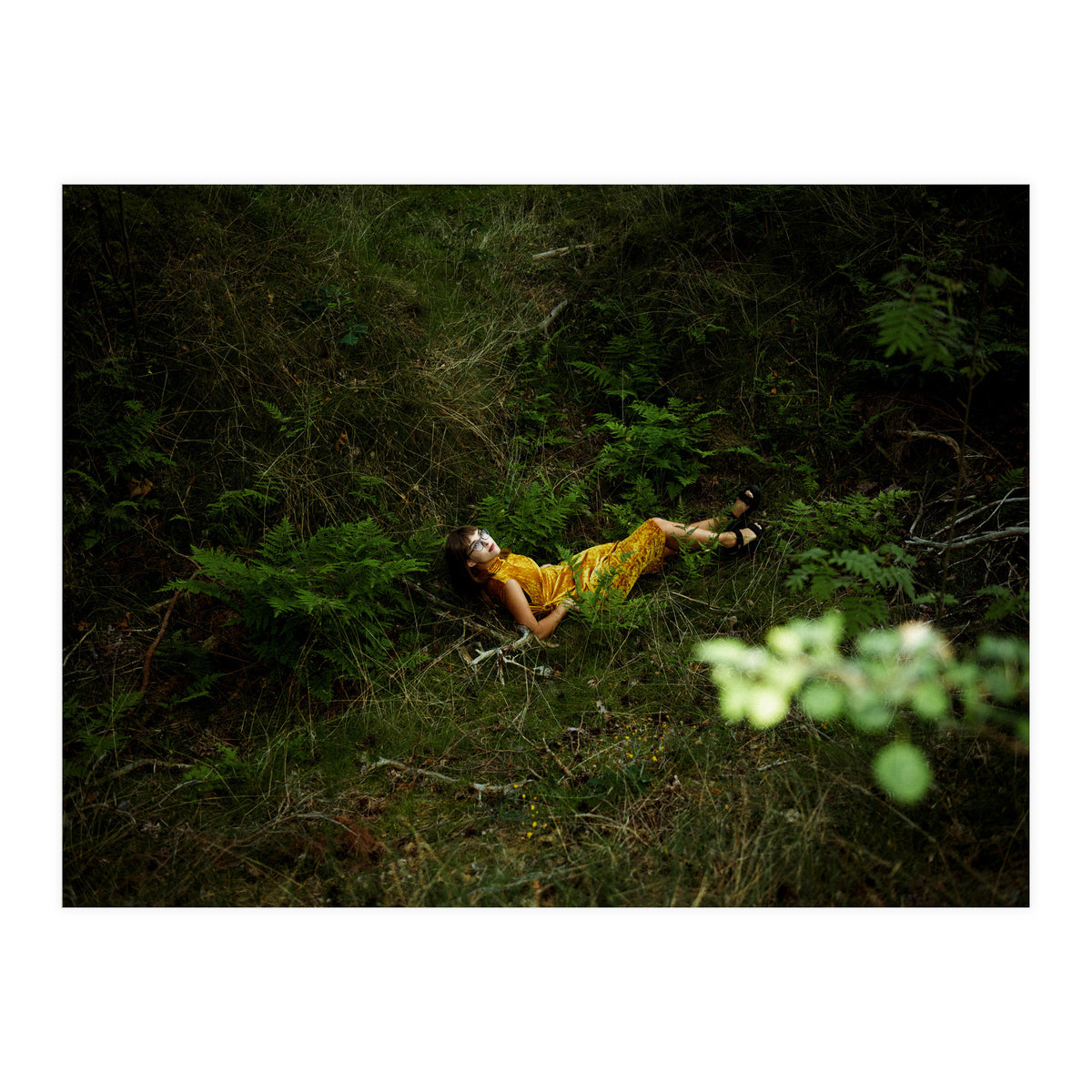 Did You Miss Me? (Print Only)