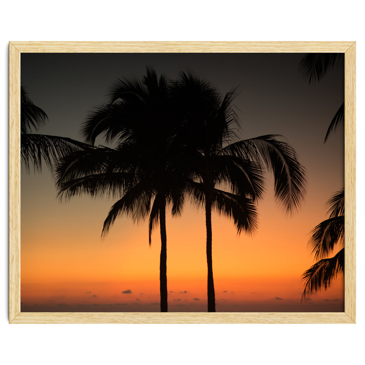 Mexico, November nights