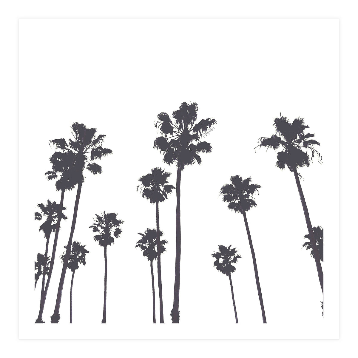 Palms & Sunset-Minimal B&W (Print Only)