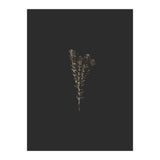 Moody Golden Botanicals (Print Only) thumbnail