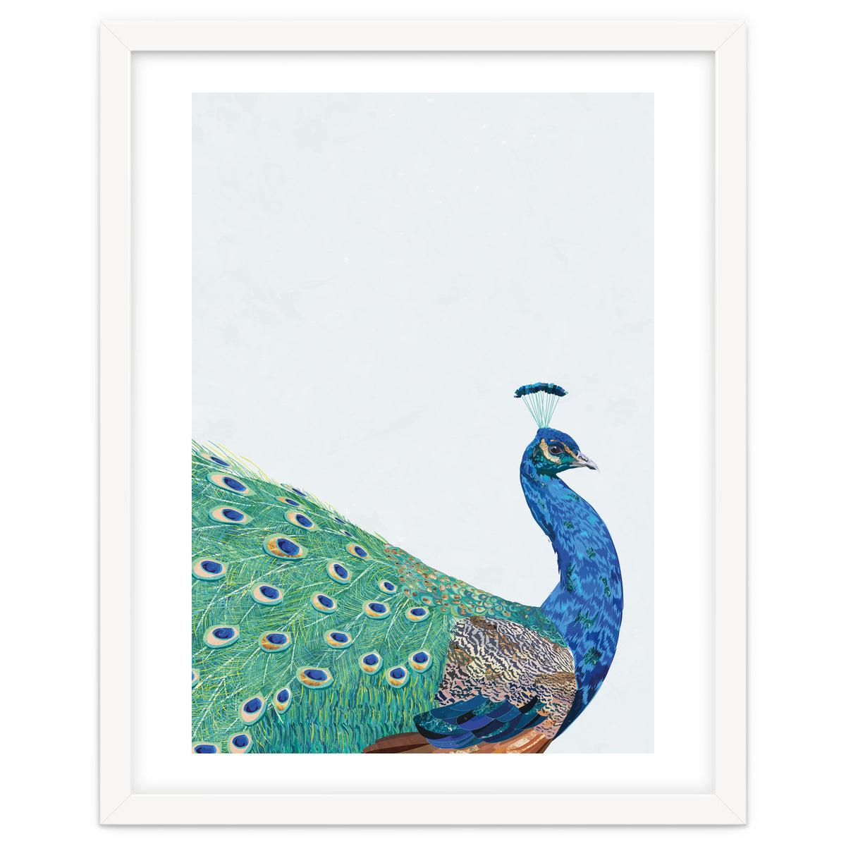 Peacock Portrait