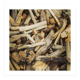 Driftwood (Print Only) thumbnail