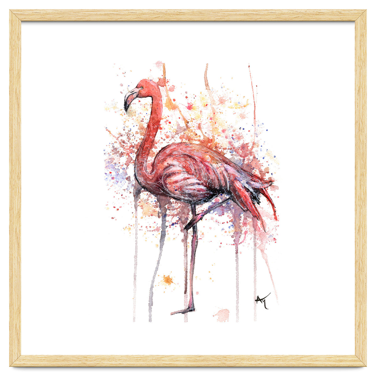 Flamingo - Wildlife Collection