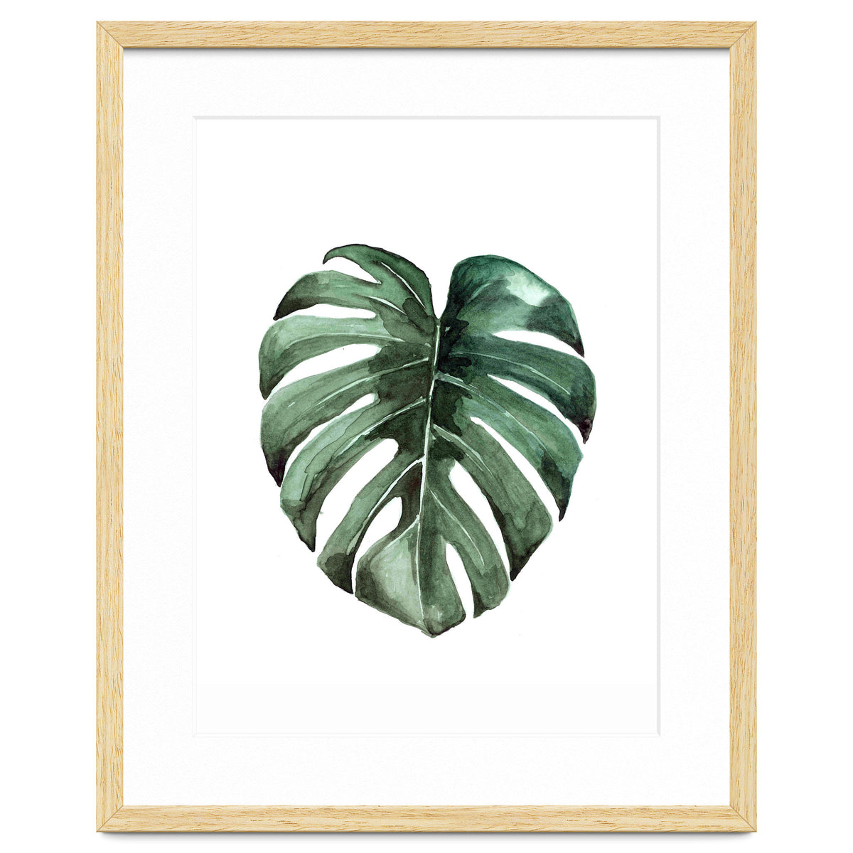 Botanical Illustration Monstera Deliciosa