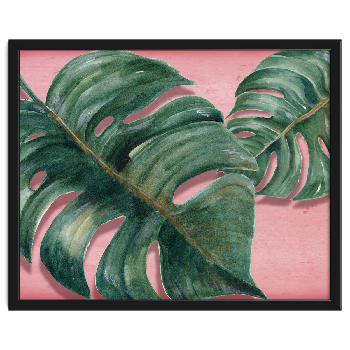 Monstera Leaf