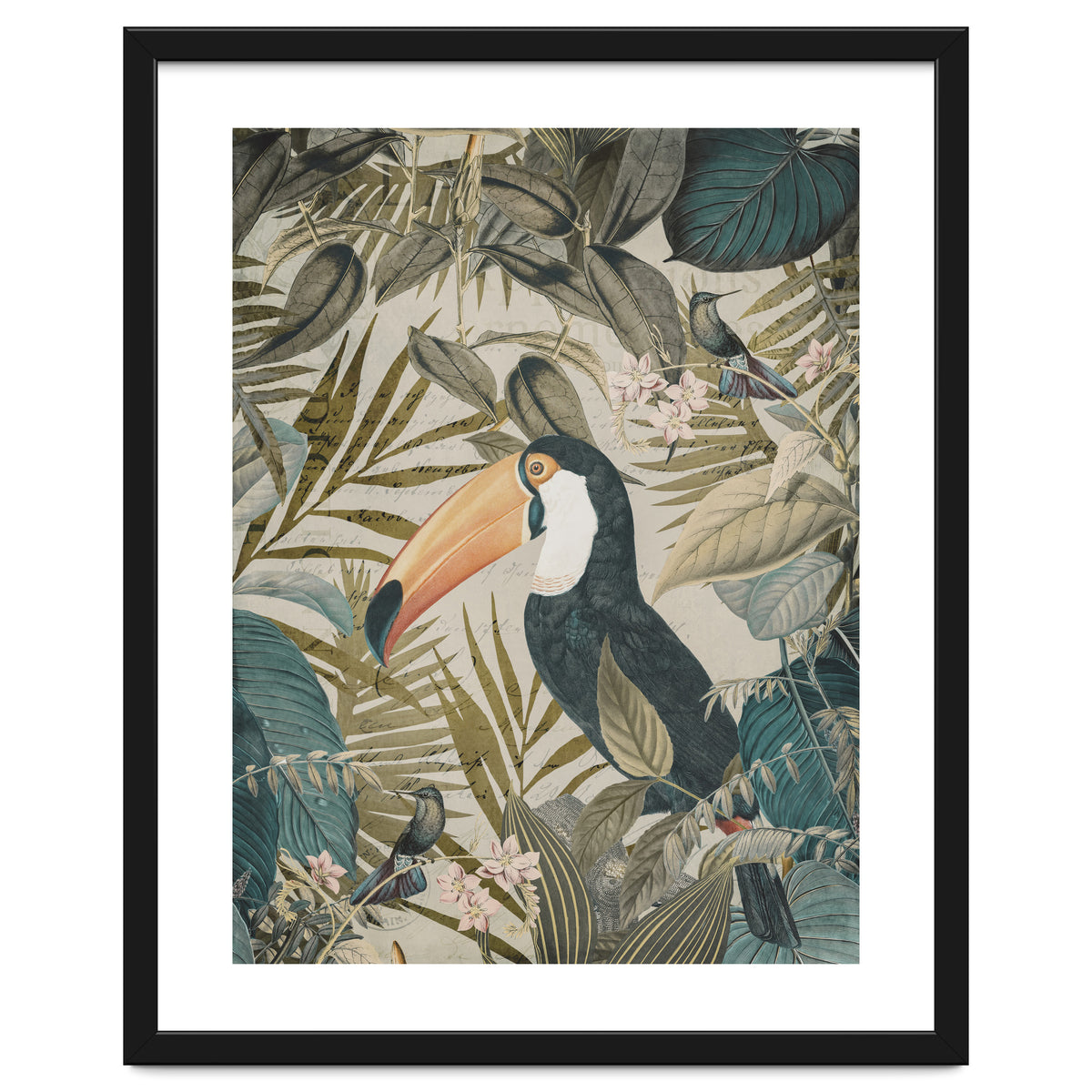 Jungle Toucan